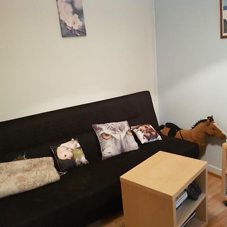 Appartement Skjolsteinar à Grundarfjördur Extérieur photo
