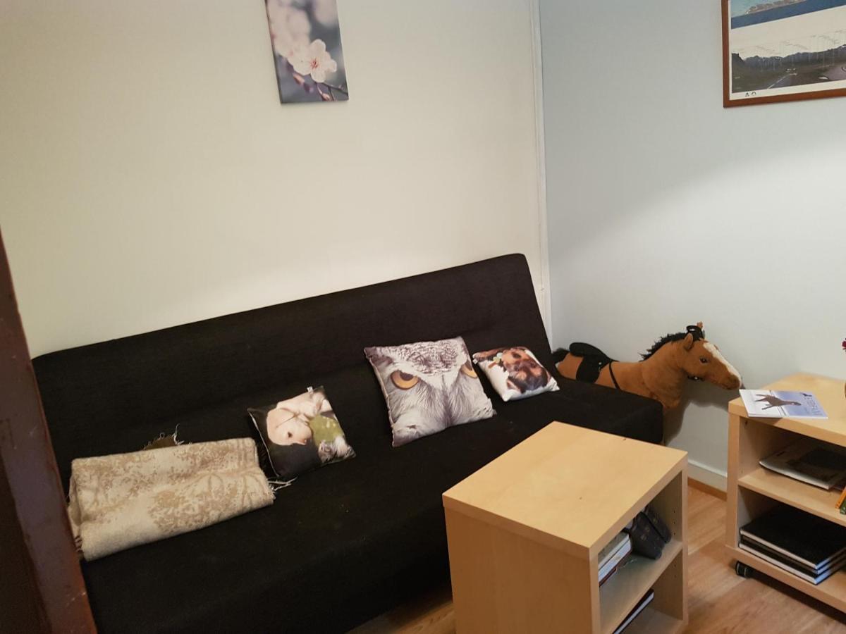 Appartement Skjolsteinar à Grundarfjördur Extérieur photo