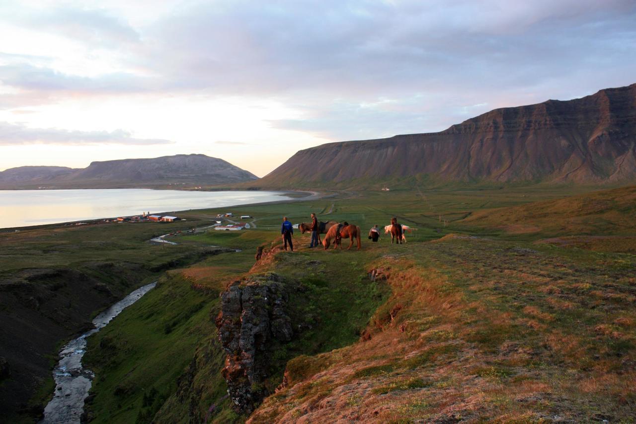 Appartement Skjolsteinar à Grundarfjördur Extérieur photo